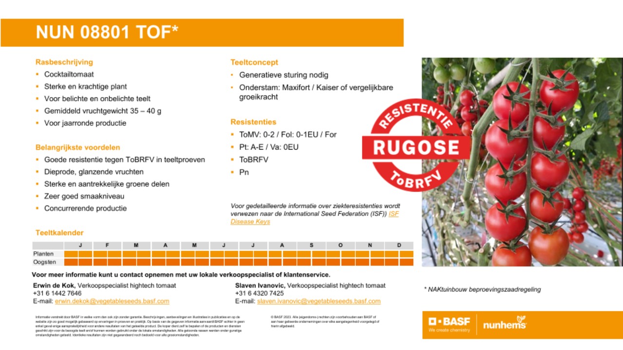 BASF Nunhems | Variety proFILE BASF Nunhems | Variety proFILE